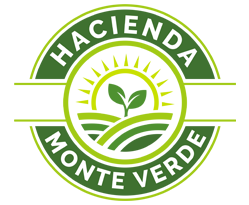 IMG-LOGO